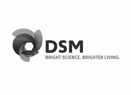 logo_DSM