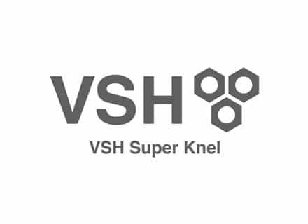 logo_VSH